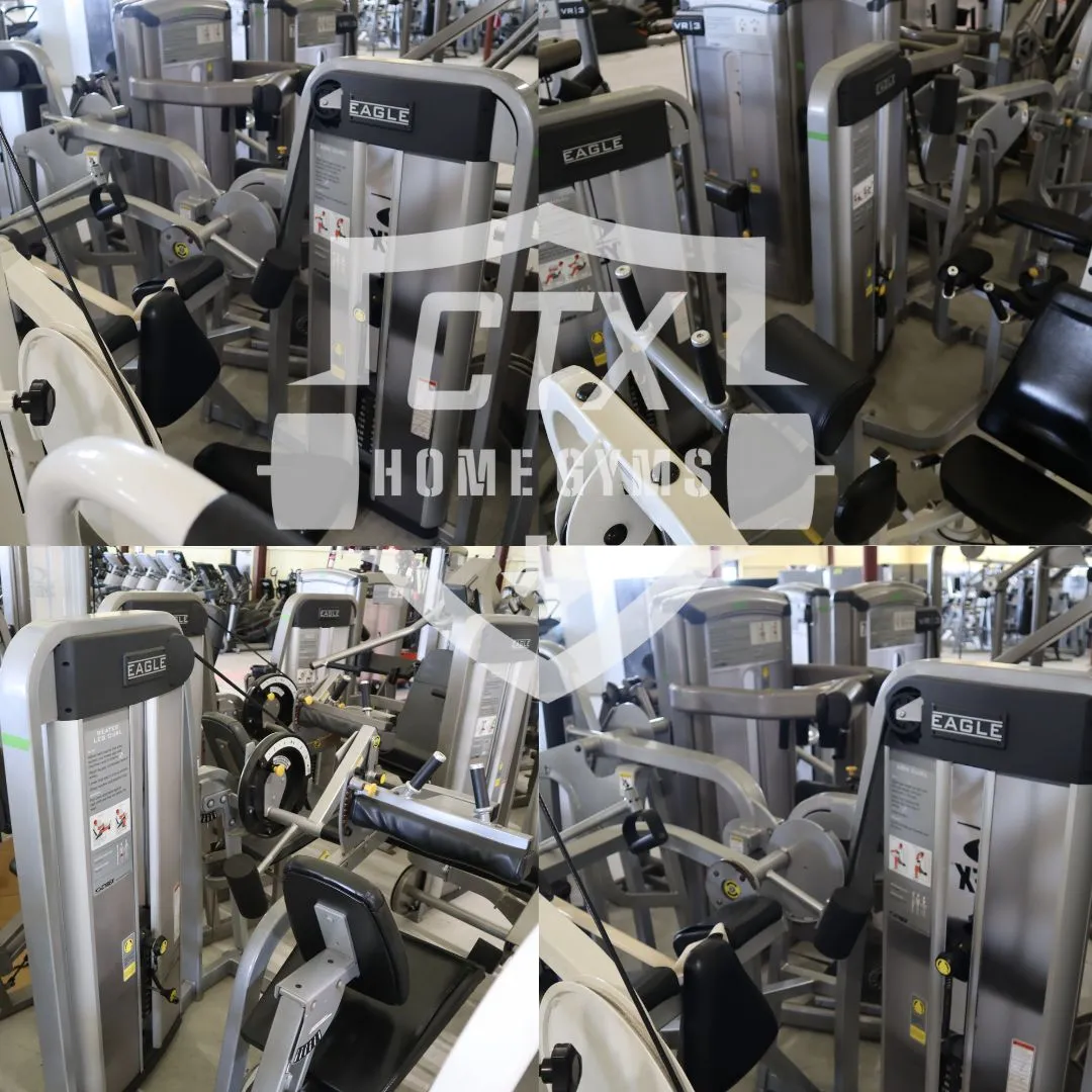 21 Piece Cybex Eagle Strength Circuit *Total Body* (Used)