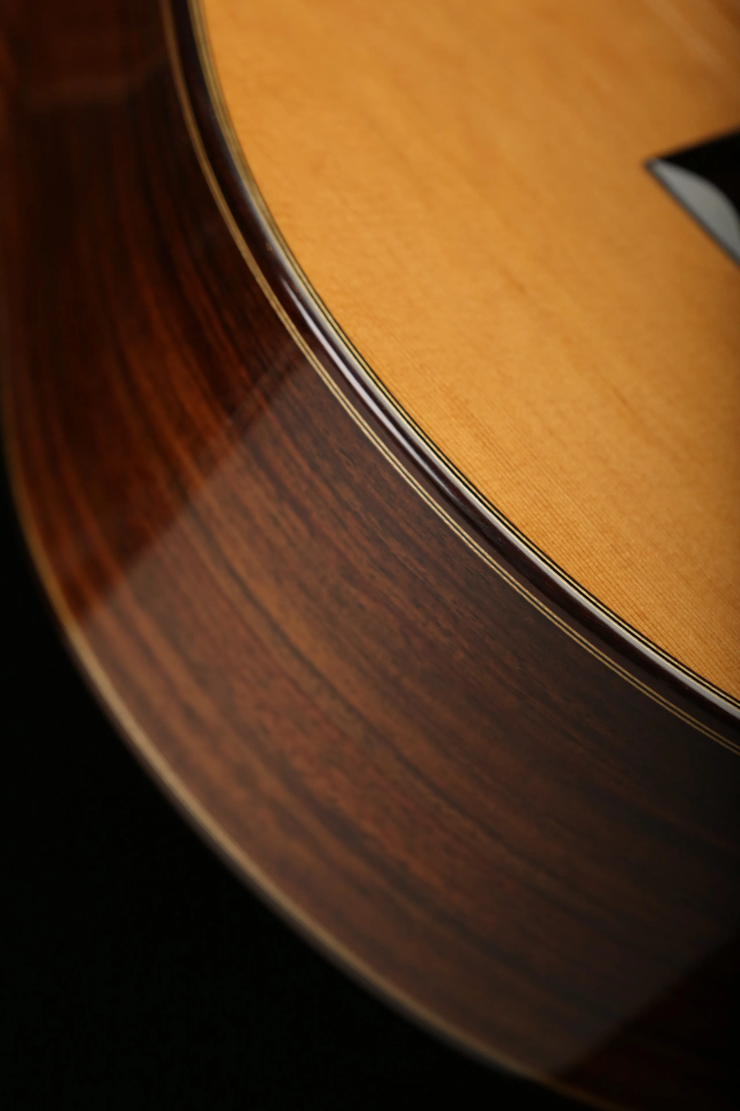 Cordoba C7 CD Cedar / Rosewood Classical Acoustic Guitar