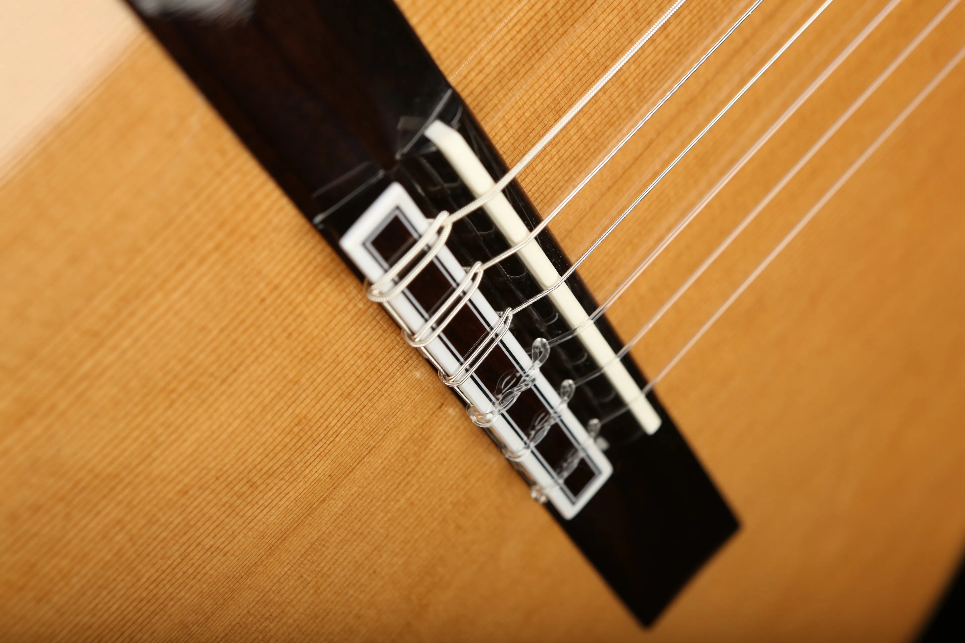 Cordoba C7 CD Cedar / Rosewood Classical Acoustic Guitar