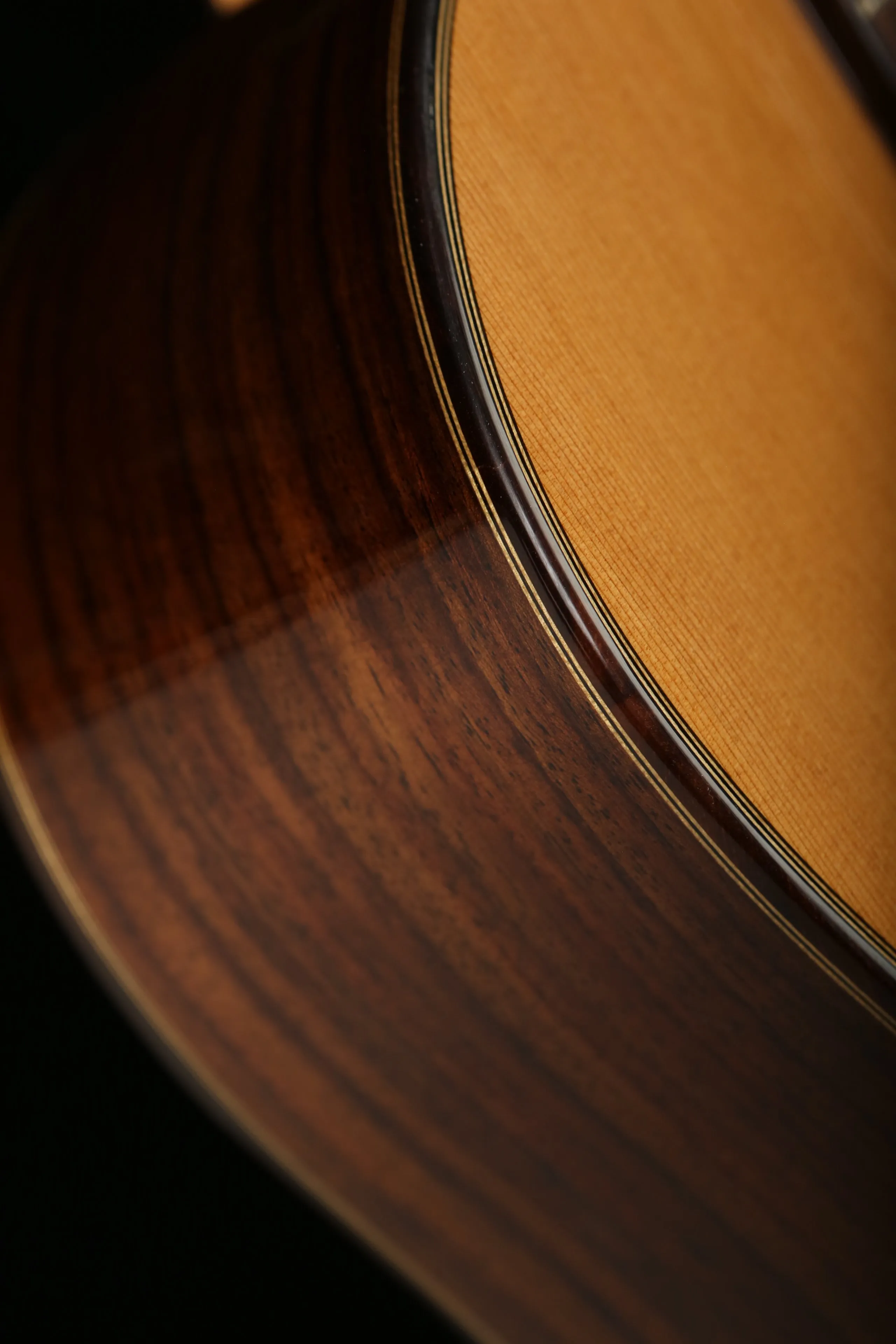 Cordoba C7 CD Cedar / Rosewood Classical Acoustic Guitar