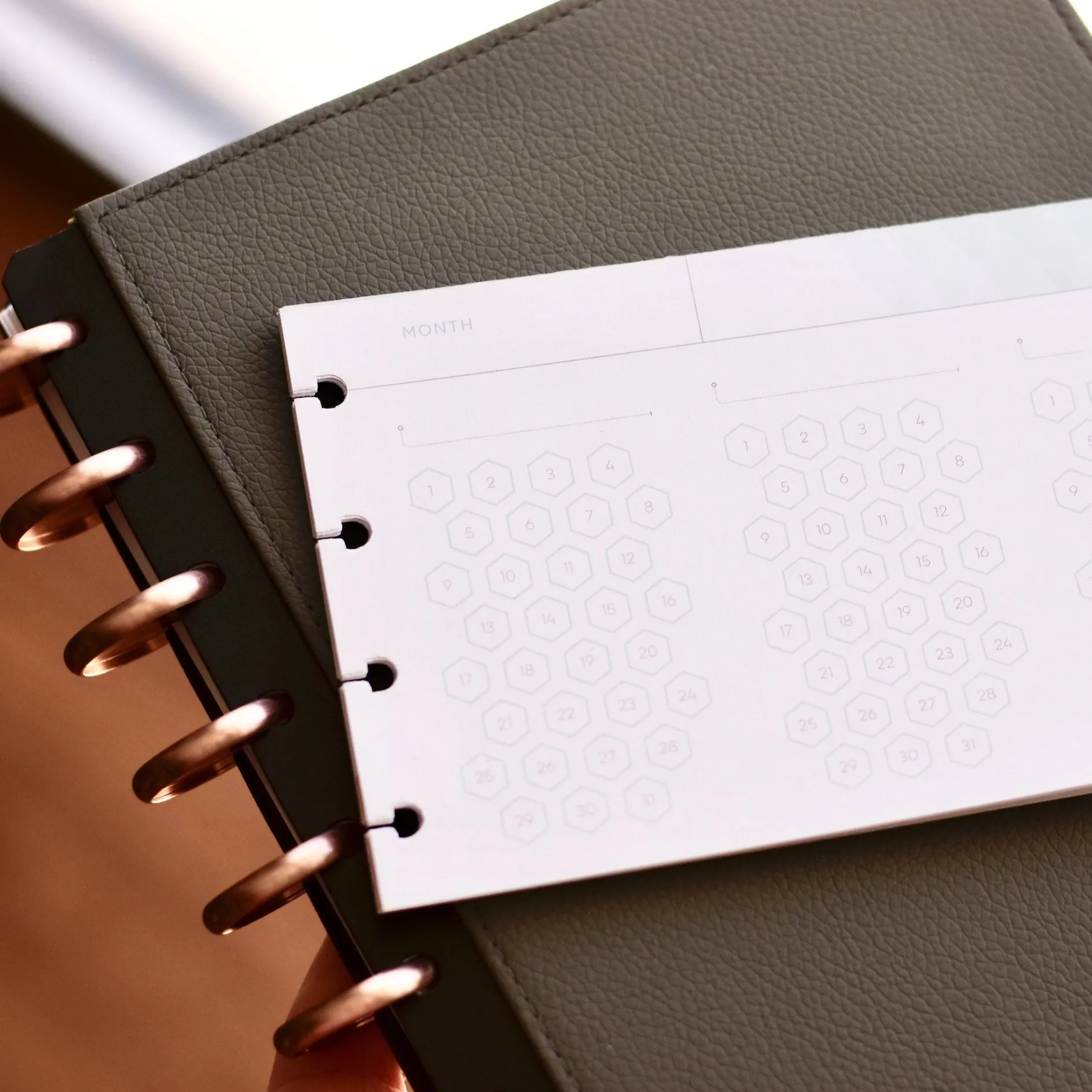 Habit Tracker Insert