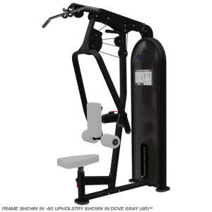 Nautilus Instinct Dual Lat Pull Down/Low Row