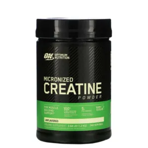 Optimum Nutrition Micronized Creatine